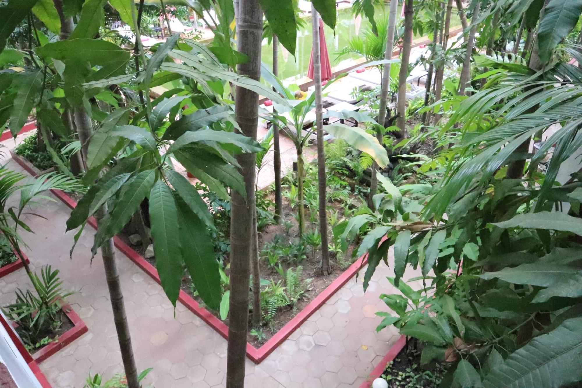 La Niche D'Angkor Boutique Hotel Siem Reap Zewnętrze zdjęcie